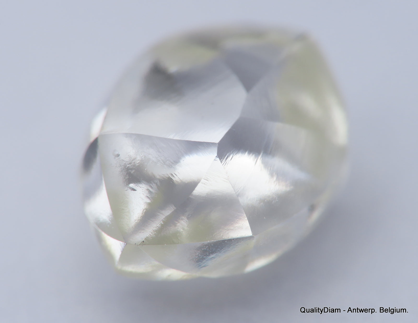 Natural Diamond at QualityDiam: Timeless Beauty, Trusted Quality