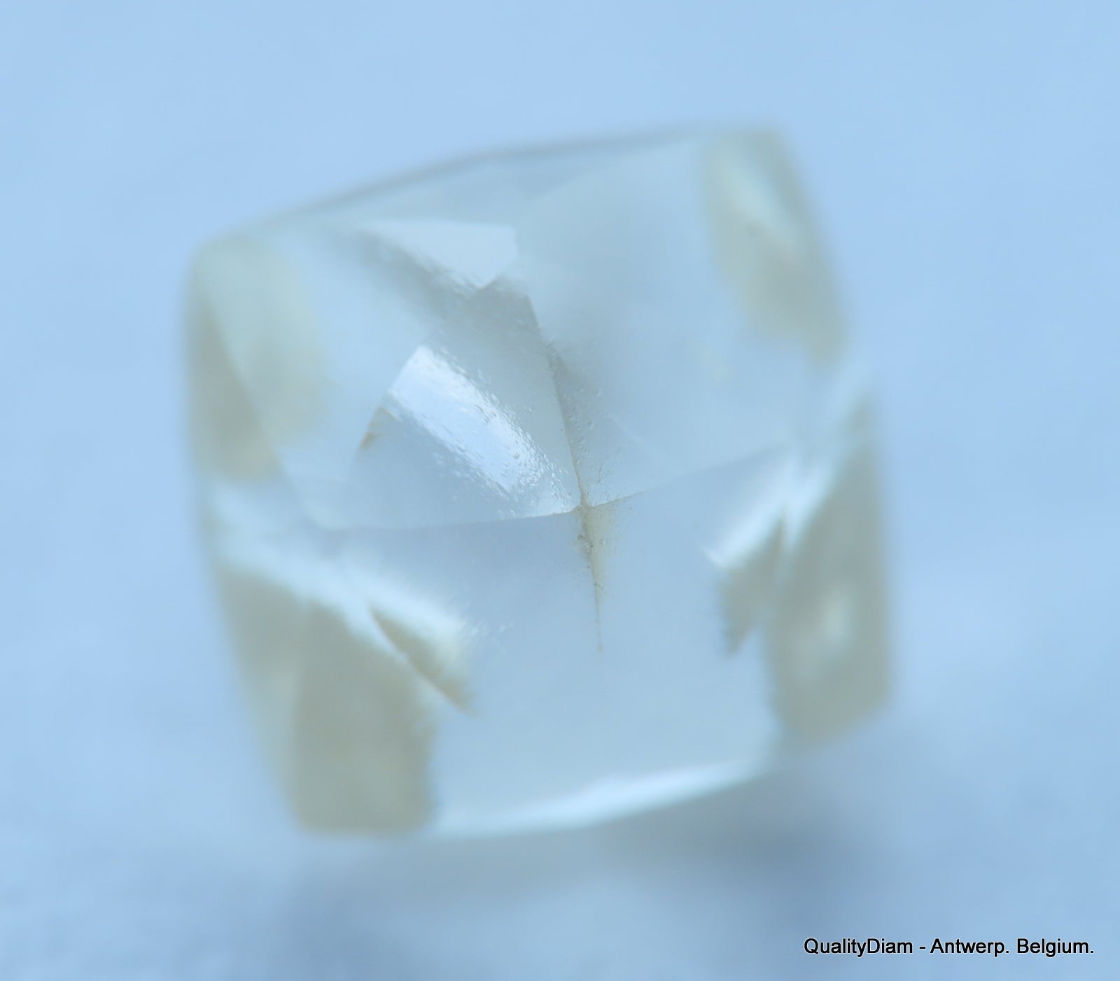 Uncut Diamonds at QualityDiam: Embracing Nature’s Raw Brilliance