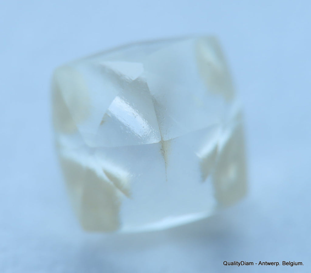 Uncut Diamonds at QualityDiam: Embracing Nature’s Raw Brilliance