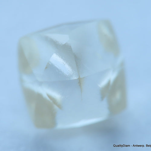 Uncut Diamonds at QualityDiam: Embracing Nature’s Raw Brilliance