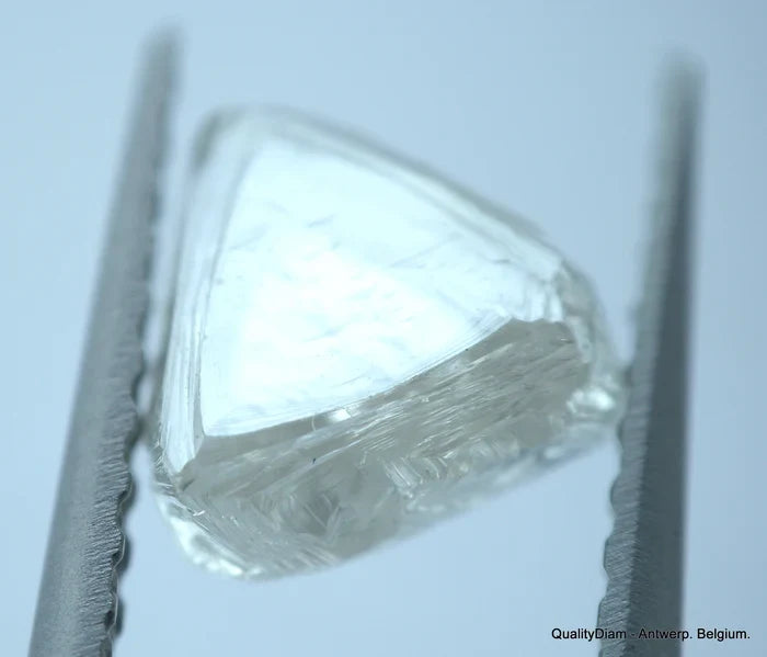 💎 Rough Diamond Suppliers at QualityDiam: Your Trusted Partner for Quality Rough Diamonds