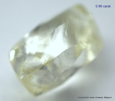 5.55 CARATS COLLECTION OF MACKLES NATURAL UNCUT DIAMONDS ROUGH OUT DIAMOND MINE (Copy)