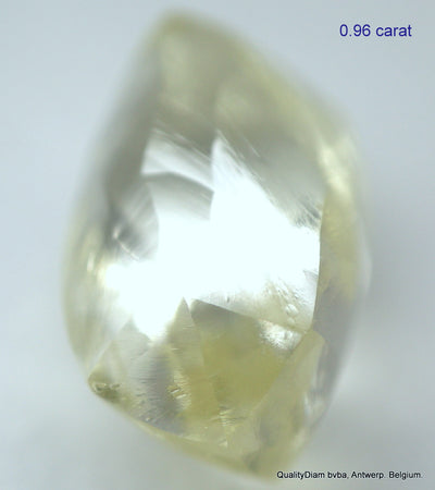 5.55 CARATS COLLECTION OF MACKLES NATURAL UNCUT DIAMONDS ROUGH OUT DIAMOND MINE (Copy)