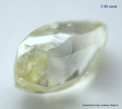 5.55 CARATS COLLECTION OF MACKLES NATURAL UNCUT DIAMONDS ROUGH OUT DIAMOND MINE (Copy)