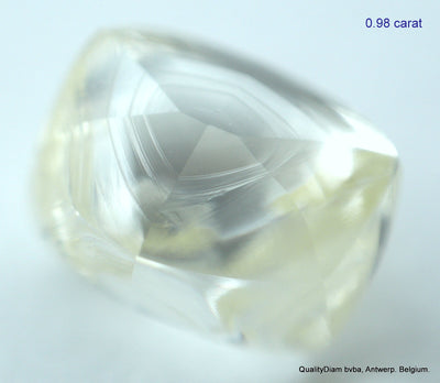 1.95 CARATS FINE PAIR OF NATURAL UNCUT DIAMONDS ROUGH DIAMONDS OUT DIAMOND MINE