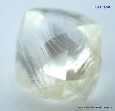 1.95 CARATS FINE PAIR OF NATURAL UNCUT DIAMONDS ROUGH DIAMONDS OUT DIAMOND MINE