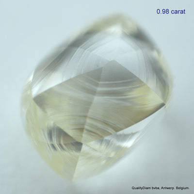1.95 CARATS FINE PAIR OF NATURAL UNCUT DIAMONDS ROUGH DIAMONDS OUT DIAMOND MINE