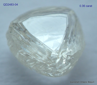 8.71 CARATS FINE COLLECTION OF NATURAL UNCUT DIAMONDS ROUGH OUT DIAMOND MINE