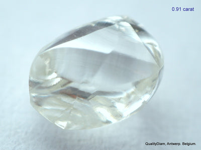 5.55 CARATS COLLECTION OF MACKLES NATURAL UNCUT DIAMONDS ROUGH OUT DIAMOND MINE (Copy)