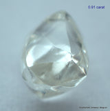 5.55 CARATS COLLECTION OF MACKLES NATURAL UNCUT DIAMONDS ROUGH OUT DIAMOND MINE (Copy)