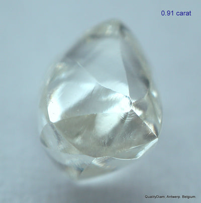 5.55 CARATS COLLECTION OF MACKLES NATURAL UNCUT DIAMONDS ROUGH OUT DIAMOND MINE (Copy)