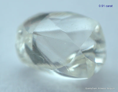 5.55 CARATS COLLECTION OF MACKLES NATURAL UNCUT DIAMONDS ROUGH OUT DIAMOND MINE (Copy)