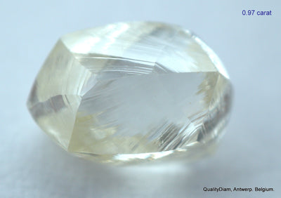 1.95 CARATS FINE PAIR OF NATURAL UNCUT DIAMONDS ROUGH DIAMONDS OUT DIAMOND MINE