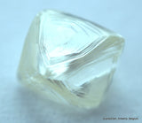 4.40 CARATS FINE COLLECTION OF NATURAL UNCUT DIAMONDS ROUGH OUT DIAMOND MINES