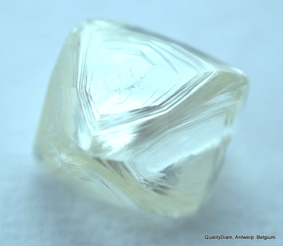 4.40 CARATS FINE COLLECTION OF NATURAL UNCUT DIAMONDS ROUGH OUT DIAMOND MINES