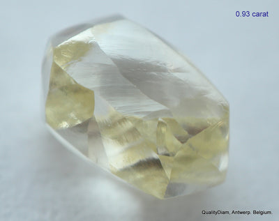 5.55 CARATS COLLECTION OF MACKLES NATURAL UNCUT DIAMONDS ROUGH OUT DIAMOND MINE (Copy)