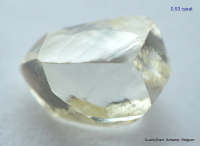 5.55 CARATS COLLECTION OF MACKLES NATURAL UNCUT DIAMONDS ROUGH OUT DIAMOND MINE (Copy)