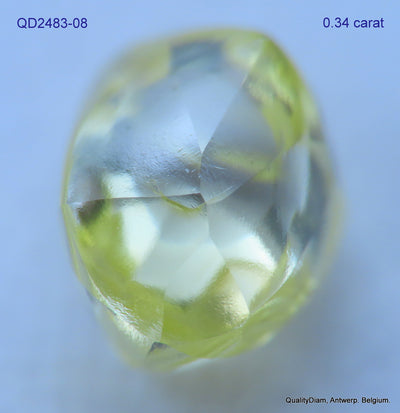 8.71 CARATS FINE COLLECTION OF NATURAL UNCUT DIAMONDS ROUGH OUT DIAMOND MINE