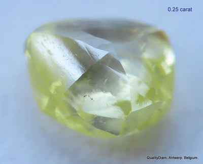 10.24 carats beautiful collection of natural uncut diamonds out from diamond mines