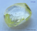 10.24 carats beautiful collection of natural uncut diamonds out from diamond mines