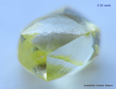 10.24 carats beautiful collection of natural uncut diamonds out from diamond mines