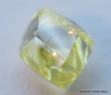 8.71 CARATS FINE COLLECTION OF NATURAL UNCUT DIAMONDS ROUGH OUT DIAMOND MINE