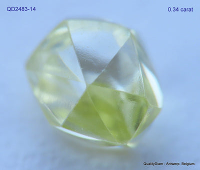 8.71 CARATS FINE COLLECTION OF NATURAL UNCUT DIAMONDS ROUGH OUT DIAMOND MINE