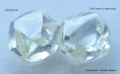8.71 CARATS FINE COLLECTION OF NATURAL UNCUT DIAMONDS ROUGH OUT DIAMOND MINE