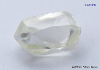 5.55 CARATS COLLECTION OF MACKLES NATURAL UNCUT DIAMONDS ROUGH OUT DIAMOND MINE (Copy)