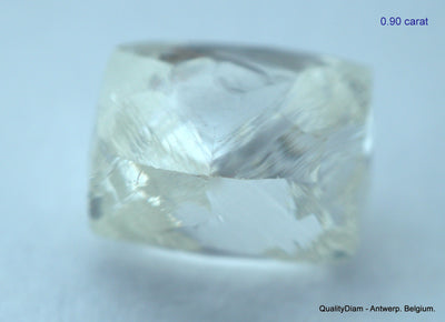 5.55 CARATS COLLECTION OF MACKLES NATURAL UNCUT DIAMONDS ROUGH OUT DIAMOND MINE (Copy)
