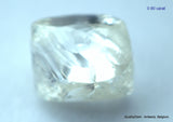 5.55 CARATS COLLECTION OF MACKLES NATURAL UNCUT DIAMONDS ROUGH OUT DIAMOND MINE (Copy)