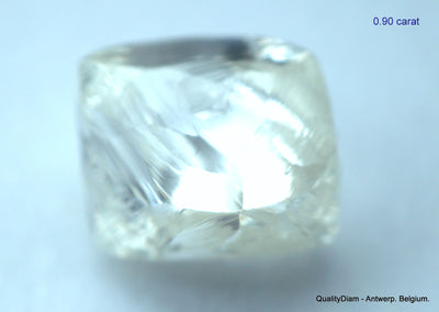 5.55 CARATS COLLECTION OF MACKLES NATURAL UNCUT DIAMONDS ROUGH OUT DIAMOND MINE (Copy)