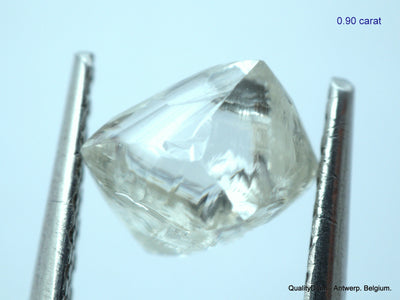 5.55 CARATS COLLECTION OF MACKLES NATURAL UNCUT DIAMONDS ROUGH OUT DIAMOND MINE (Copy)