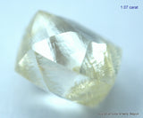 4.23 CARATS FINE COLLECTION OF NATURAL UNCUT DIAMONDS ROUGH OUT DIAMOND MINE