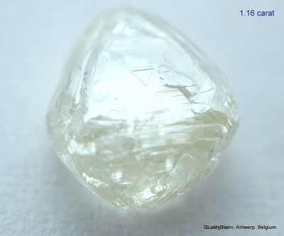 2.33 carats H VVS2 pair of natural uncut diamonds rough out from diamond mine