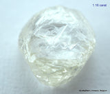 2.33 carats H VVS2 pair of natural uncut diamonds rough out from diamond mine