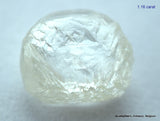 2.33 carats H VVS2 pair of natural uncut diamonds rough out from diamond mine