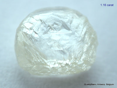 2.33 carats H VVS2 pair of natural uncut diamonds rough out from diamond mine