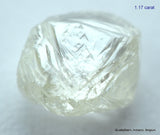 2.33 carats H VVS2 pair of natural uncut diamonds rough out from diamond mine