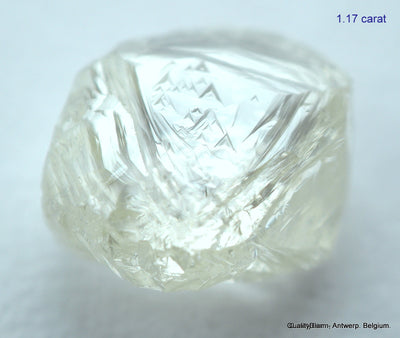 2.33 carats H VVS2 pair of natural uncut diamonds rough out from diamond mine