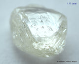 2.33 carats H VVS2 pair of natural uncut diamonds rough out from diamond mine