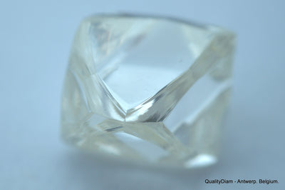 2.41 Carat H VVS1 Museum Quality, natural diamond out from diamond mine