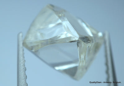 2.41 Carat H VVS1 Museum Quality, natural diamond out from diamond mine