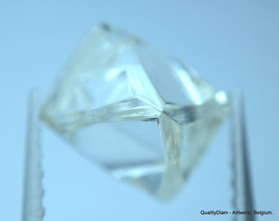 2.41 Carat H VVS1 Museum Quality, natural diamond out from diamond mine