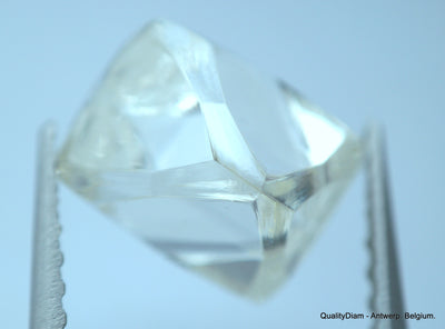 2.41 Carat H VVS1 Museum Quality, natural diamond out from diamond mine