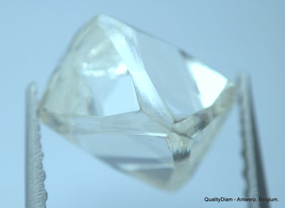 2.41 Carat H VVS1 Museum Quality, natural diamond out from diamond mine