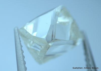 2.41 Carat H VVS1 Museum Quality, natural diamond out from diamond mine