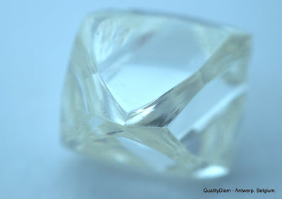 2.41 Carat H VVS1 Museum Quality, natural diamond out from diamond mine