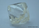 2.02 Carat I VVS2 Natural Diamond out from Diamond Mine, Rough Uncut Diamond