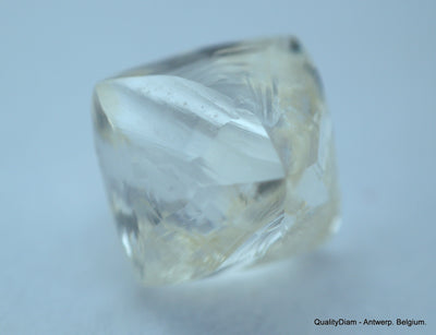 2.02 Carat I VVS2 Natural Diamond out from Diamond Mine, Rough Uncut Diamond